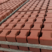 Concrete paving bricks with colored surface layer